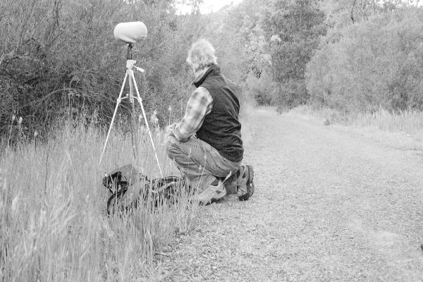 Bernie Krause richtet seine Mikros vor einer Aufnahme im Sugar Loaf State Park in Californien